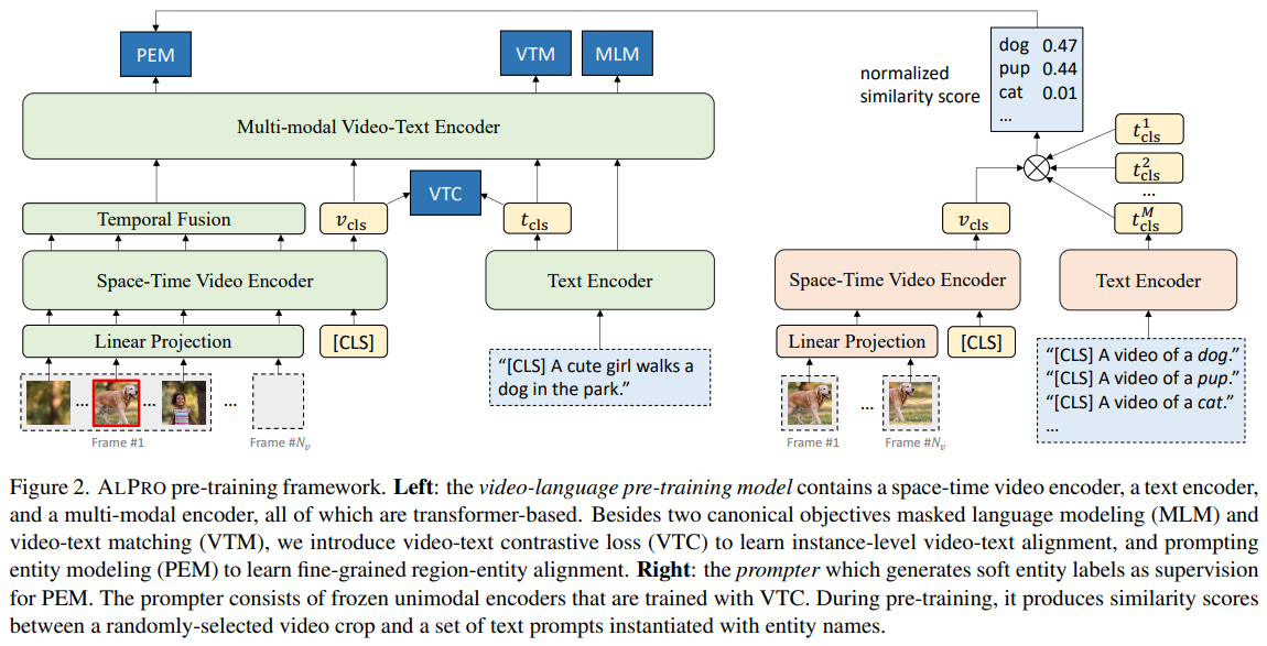 ALPRO 预训练框架图