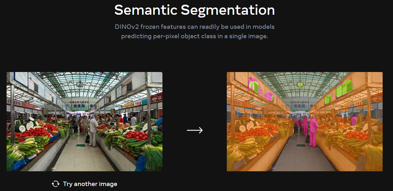 DINOv2 在语义分割的结果